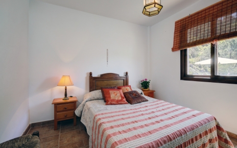 Habitación estándar con cama doble 